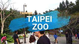 You Should Experience Taipei Zoo And Here’s Why