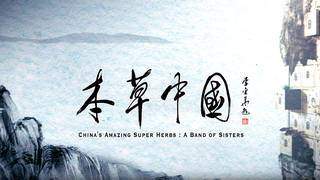 China’s Amazing Super Herbs