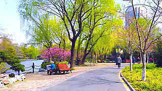 Walking in Shanghai – Lu Xun Park