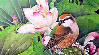 Drawing Lotus Flower and Lovely Bird