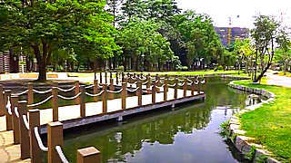 Kaohsiung – Walk at Dadong Wetlands Park
