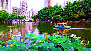 Shanghai Peace (Heping) Park