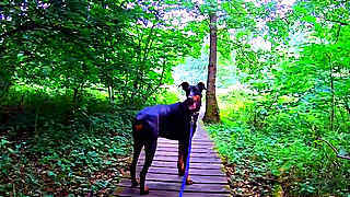 Mountain Hiking with Dogs – Bell (Mendig), Germany
