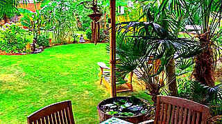 Palm Grove Garden – Virtual Visit