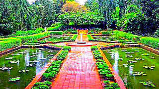 Beautiful Singapore Botanic Gardens