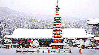 Woljeongsa Buddhist Temple in the Winter – South Korea