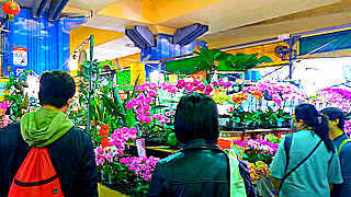 Jian Guo Weekend Flower Market – Taipei, Taiwan