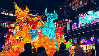 Walk in Shanghai – Yuyuan Lantern Festival