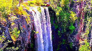 Queen Mary Falls Hike – Queensland, Australia