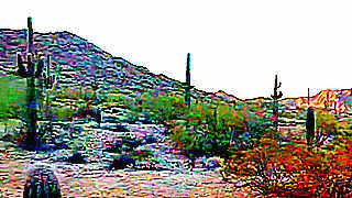 San Tan Mountain Regional Park – Queen Creek, Arizona, US
