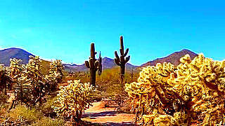 Usery Mountain Regional Park – Mesa, Arizona, US