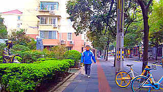 Walk in Shanghai – Fahuazhen Road