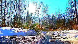 Winter Forest Stream – 3D VR Relaxation