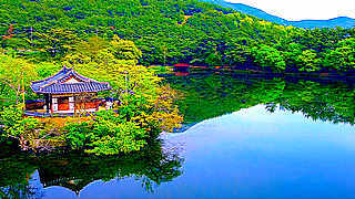 Beautiful Pond with Relaxing Piano Music – South Korea