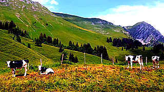 Gruyère Pays-d’Enhaut Regional Nature Park – Switzerland