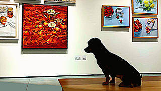 Inca went to view a wonderful exhibition of still life
