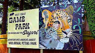 Roadtrip – West Coast Game Park Safari, Bandon, Oregon, US