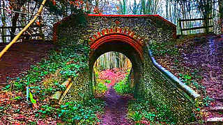 Fall Hike – Lovelace Bridges Trail, Surrey Hills, UK