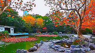 Walk in Shanghai – Autumn Fuxing Park