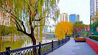 Walk in Shanghai – West of Suzhou River