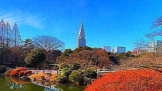 Shinjuku Gyoen National Garden – Shinjuku City, Tokyo