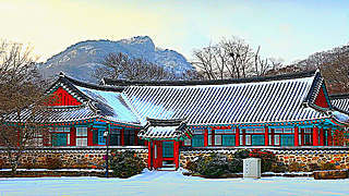 Snowfall in Seonunsa Temple – North Jeolla, South Korea