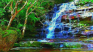 Visit to Somersby Falls – Somersby, NSW, Australia