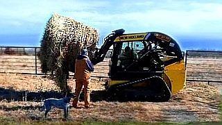 Preparing for a Winter Storm – American Bison Ranch