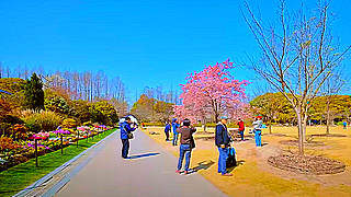 Spring Walk in Shanghai Botanical Garden