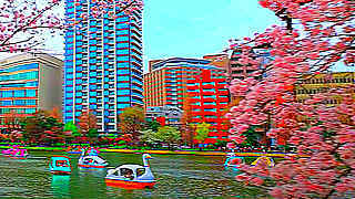 Walk in Tokyo – Cherry Blossoms in Ueno Park