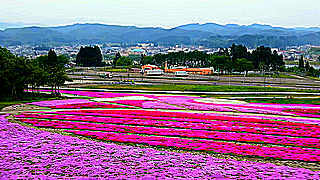 View of Okutadami Recreation Toshi Park – Uonuma, Japan