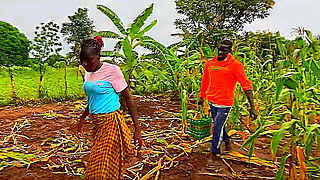 Corn Harvest – Village Life in Uganda
