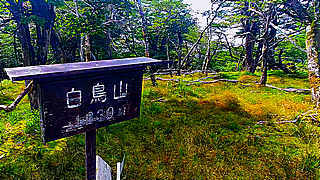 Shiratoriyama Mountain Peak Hike – Kumamoto, Japan