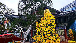Flower Arrangements in Jogyesa Buddhist Temple, Seoul