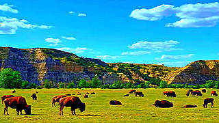 Theodore Roosevelt National Park Travel Guide – ND, US
