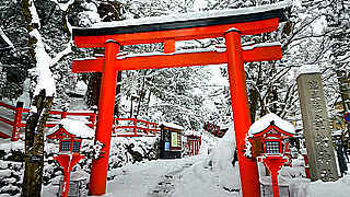 Winter Walk in Kifune-jinja Shrine – Kyoto, Japan