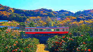 Journey along the Tenryu Hamanako Railway Line, Japan