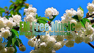 White Flower – Happy Background Music