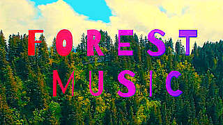 Forest – Relaxing Guitar Music