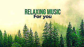 Medieval Forest – Relaxing Background Music