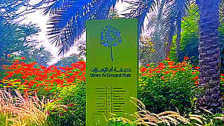 Short Walk in Umm Al Emarat Park – Abu Dhabi, UAE