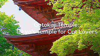 Gotokuji Buddhist Temple (Cat Temple) in Tokyo