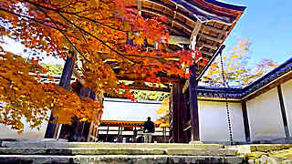 Walk in in Kyoto – Nisonin Buddhist Temple