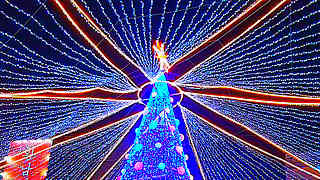 Walk in Busan, South Korea – Christmas Light Tree Festival