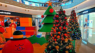 Walk in Shanghai – Shopping Malls and Streets before Christmas