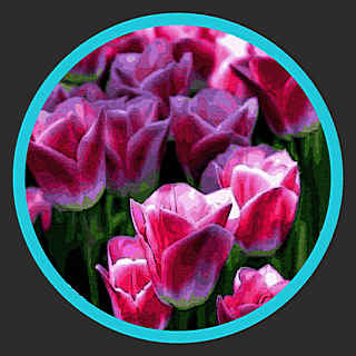 Beautiful Tulips – Upbeat Background Music