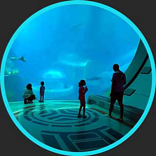 Family Adventures in SeaWorld Abu Dhabi