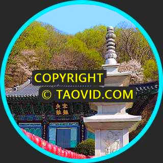 Walk in Baekryeonsa Temple – Yongin City, South Korea