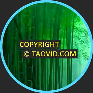 Bamboo Forest and Mountain Waterfall – Tranquil Music