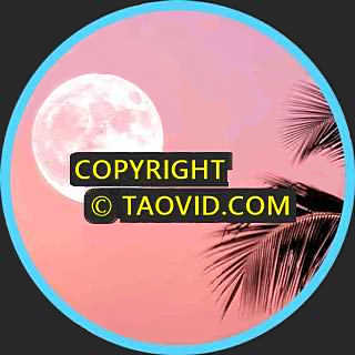 Tropical Summer Night – Melodious Music